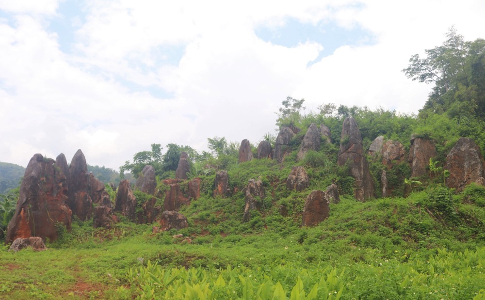 Những cột đá độc đáo trong vườn đá Hoàng Tung, huyện Hòa An, tỉnh Cao Bằng. Ảnh: Chu Hiệu-TTXVN.