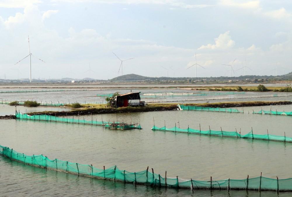 Phát triển vùng nuôi biển tại xã Phước Diêm, huyện Thuận Nam. Ảnh: Công Thử - TTXVN