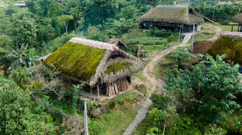 Những mái nhà lá cọ được rêu phủ quanh năm tại thôn Xà Phìn. Ảnh: Nam Thái – TTXVN