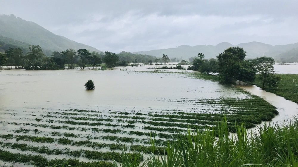Ảnh hưởng mưa lũ, gần 35.000 học sinh miền núi Hà Tĩnh tạm dừng đến trường