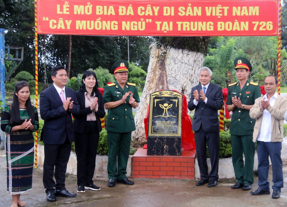 Lễ mở bia đá cây di sản Việt Nam tại Trung đoàn 726. Ảnh: TTXVN phát