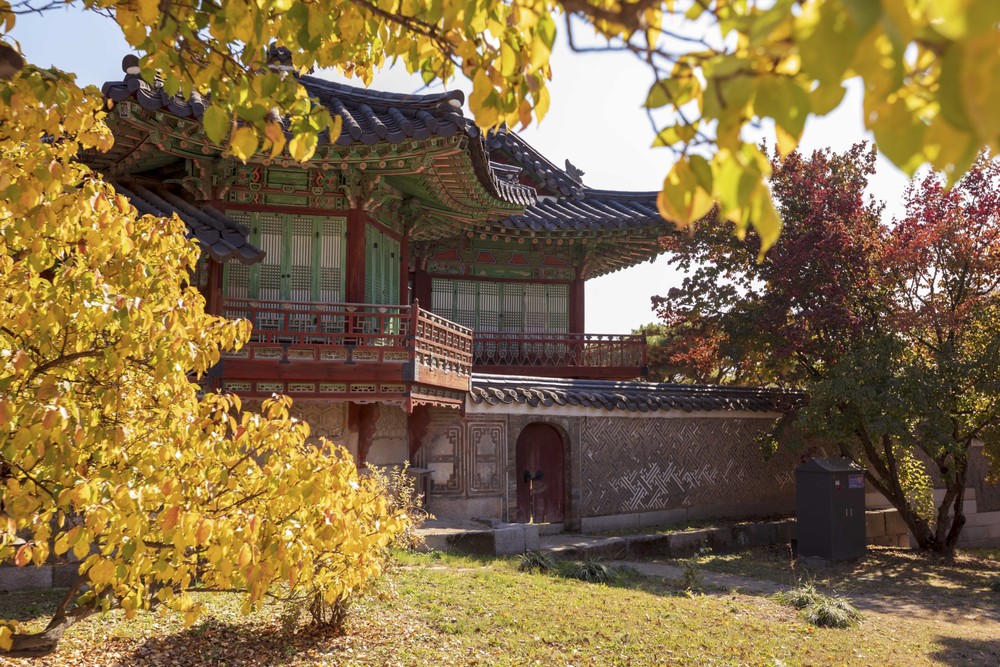 Mùa thu vàng tại Cung điện Changdeokgung, Cung lớn thứ 2 ở Thủ đô Seoul. Ảnh: Anh Nguyên - PV TTXVN tại Hàn Quốc