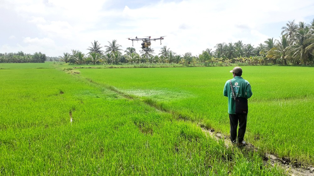 Nông dân huyện Cầu Kè ứng dụng công nghệ phun thuốc trừ sâu bằng máy bay điều khiển từ xa. Ảnh: Thanh Hòa