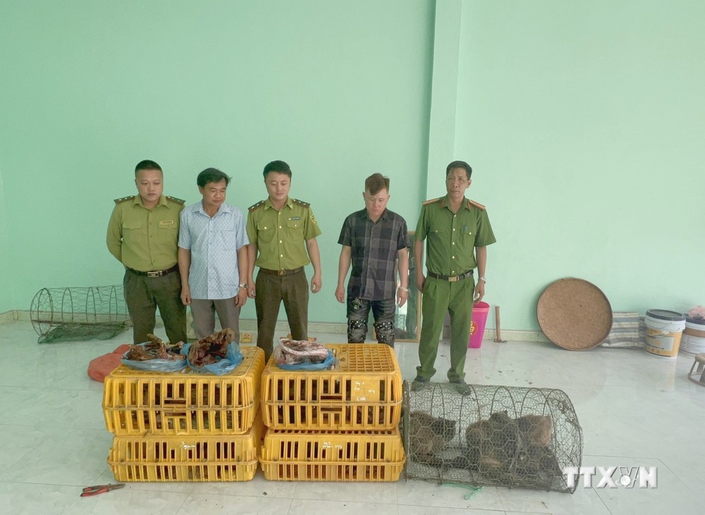 Điện Biên: Thu giữ 27 cá thể động vật hoang dã không rõ nguồn gốc, xuất xứ