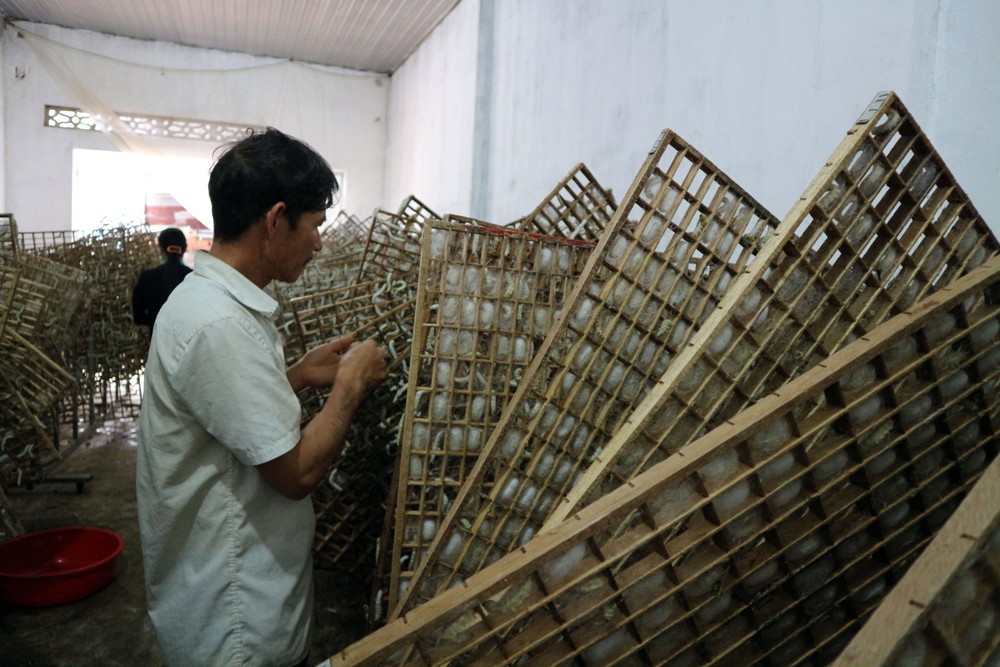Người K’ho ở buôn Klong Tum áp dụng công nghệ, khoa học - kỹ thuật vào chăn nuôi, sử dụng khung lưới chăn tằm. Ảnh: Chu Quốc Hùng
