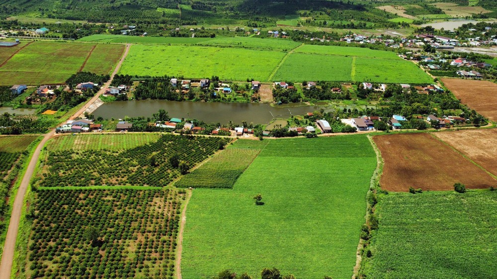 Đắk Nông: Chỉ đạo xử lý phản ánh của người dân về dự án nông nghiệp quy mô lớn tác động xấu tới môi trường