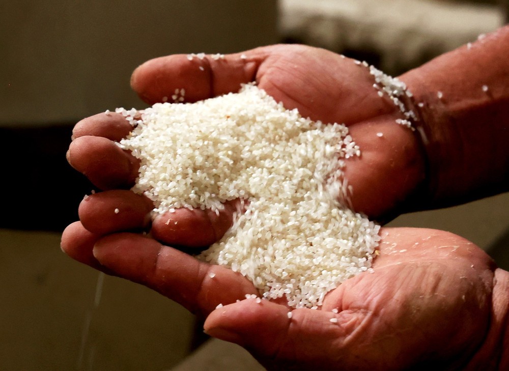 Xuất khẩu gạo trong tình hình mới (Bài 1)