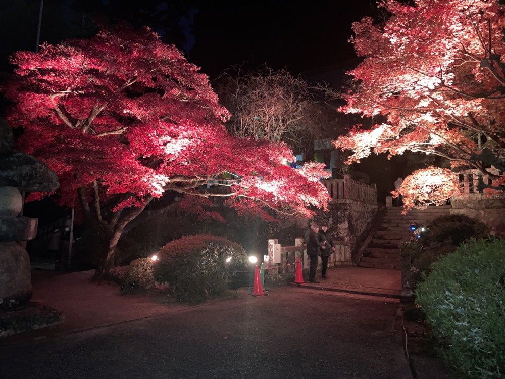 Vẻ đẹp lung linh của ngôi chùa vào buổi tối. Ảnh: Phạm Tuân - PV TTXVN tại Nhật Bản