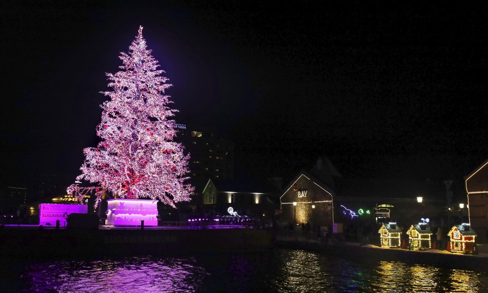 Cây thông Noel cao 20 mét được trang trí 150.000 bóng đèn led tại Hokkaido, Nhật Bản. Ảnh: Kyodo/TTXVN
