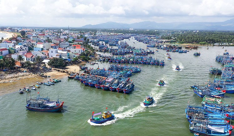 Tàu cá của ngư dân Bình Định vươn khơi tại khu vực cảng cá Tam Quan, thị xã Hoài Nhơn. Ảnh: thuysanvietnam.com.vn