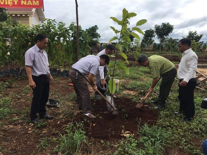 Các đại biểu tham dự Lễ phát động trồng cây phân tán năm 2020 trồng cây lưu niệm tại tại xã Đăk Smơi, huyện Đăk Đoa (Gia Lai). Ảnh: Hồng Điệp - TTXVN

