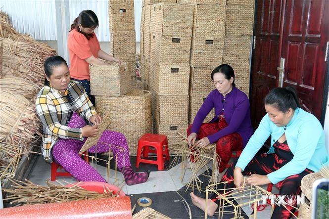 Nghề đan lục bình góp phần tạo việc làm cho phụ nữ ở vùng sâu Kiên Giang