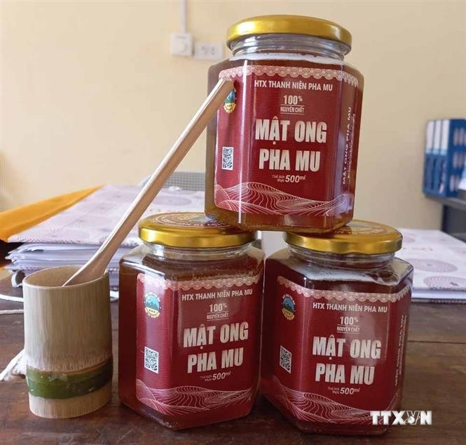 Sản phẩm mật ong Pha Mu. Ảnh: Nguyễn Oanh-TTXVN