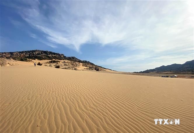 Những đồi cát vàng đầy nắng gió tại Mũi Dinh sẽ là điểm thu hút khách du lịch đến với Ninh Thuận. Ảnh: Công Thử - TTXVN