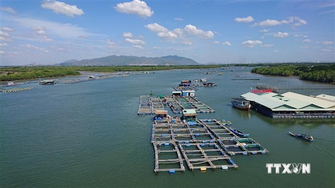 Khu nuôi thủy sản lồng bè trên sông Chà Và, xã Long Sơn, thành phố Vũng Tàu. Ảnh: Hoàng Nhị - TTXVN
