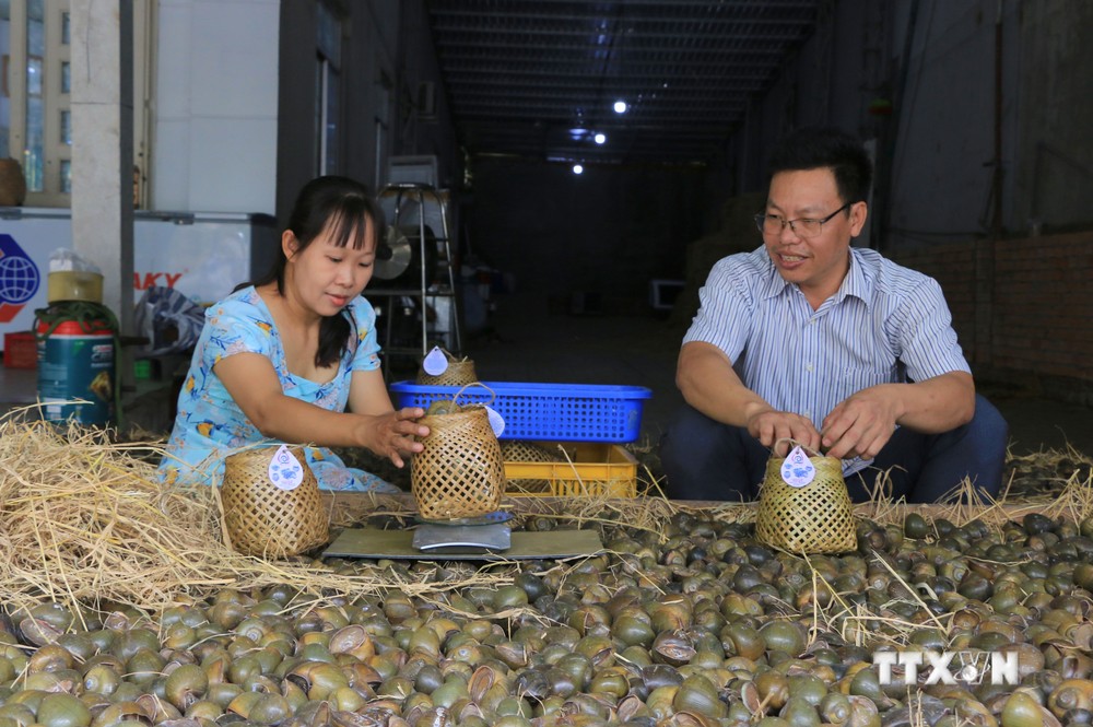 Anh Lê Hồng Lâm thu nhập cao từ sản phẩm ốc gác bếp