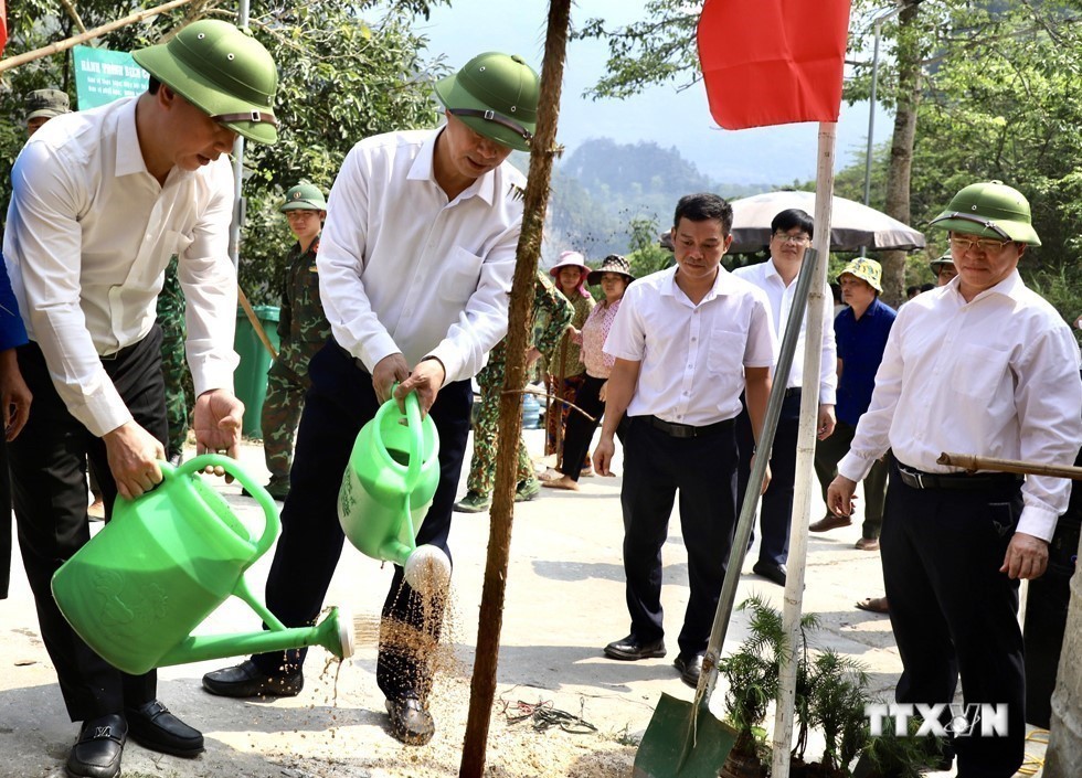 Hà Giang: Phát động trồng cây Hành trình biên cương xanh - 2023