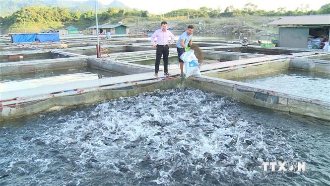 Hiệu quả của các dự án thủy điện tại Tuyên Quang  