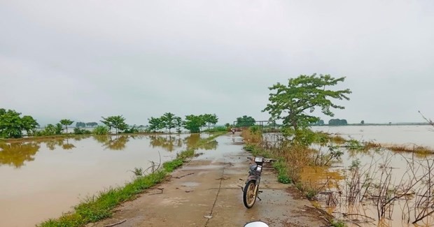 Bình Thuận: Khẩn trương khắc phục hậu quả do mưa lớn kéo dài