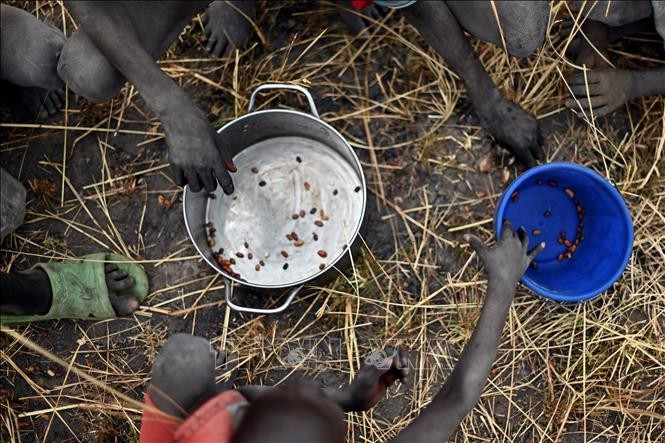 rẻ em nhặt ngũ cốc rơi từ các bao lương thực viện trợ của Chương trình Lương thực thế giới (WFP) tại Ayod, Nam Sudan, ngày 6/2/2020. Ảnh: AFP/TTXVN