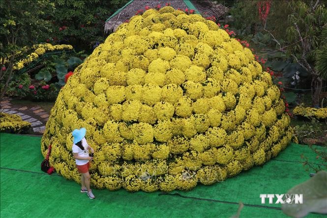 Bó hoa cúc mâm xôi xác lập kỷ lục lớn nhất Việt Nam. Ảnh: Nguyễn Văn Trí - TTXVN
