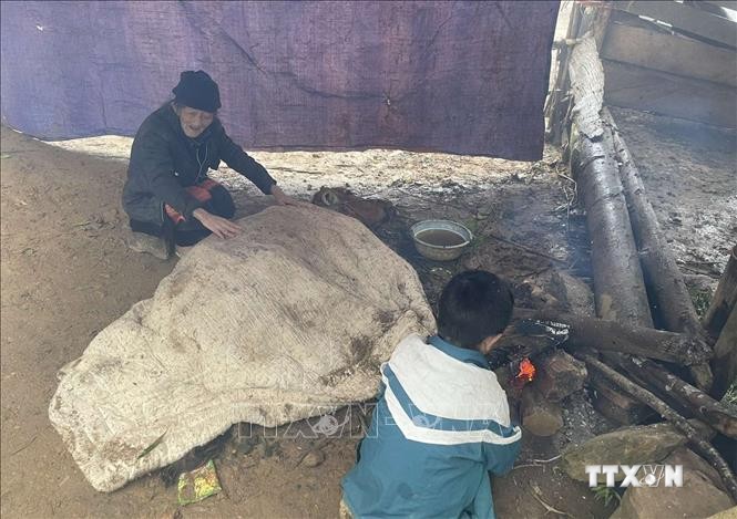 Người dân huyện vùng cao Bắc Yên, tỉnh Sơn La, phòng chống rét cho gia súc. Ảnh: Nguyễn Cường - TTXVN