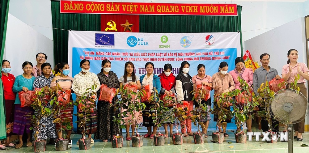 Thông qua mô hình "Một hố rác - Một cây xanh", dự án đã hỗ trợ 180 cây vú sữa Lò Rèn cho bà con hai xã Vạn Ninh và Trường Xuân, huyện Quảng Ninh, Quảng Bình. Ảnh: Võ Dung - TTXVN