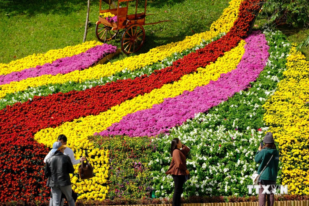 Tiểu cảnh “thác hoa” Đà Lạt chiêu đãi thị giác của du khách và người dân địa phương trong dịp Festival hoa Đà Lạt 2022. Ảnh: Nguyễn Dũng – TTXVN