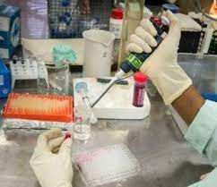 Vaccine của Cuba hiệu quả trong phòng chống ung thư gan và buồng trứng