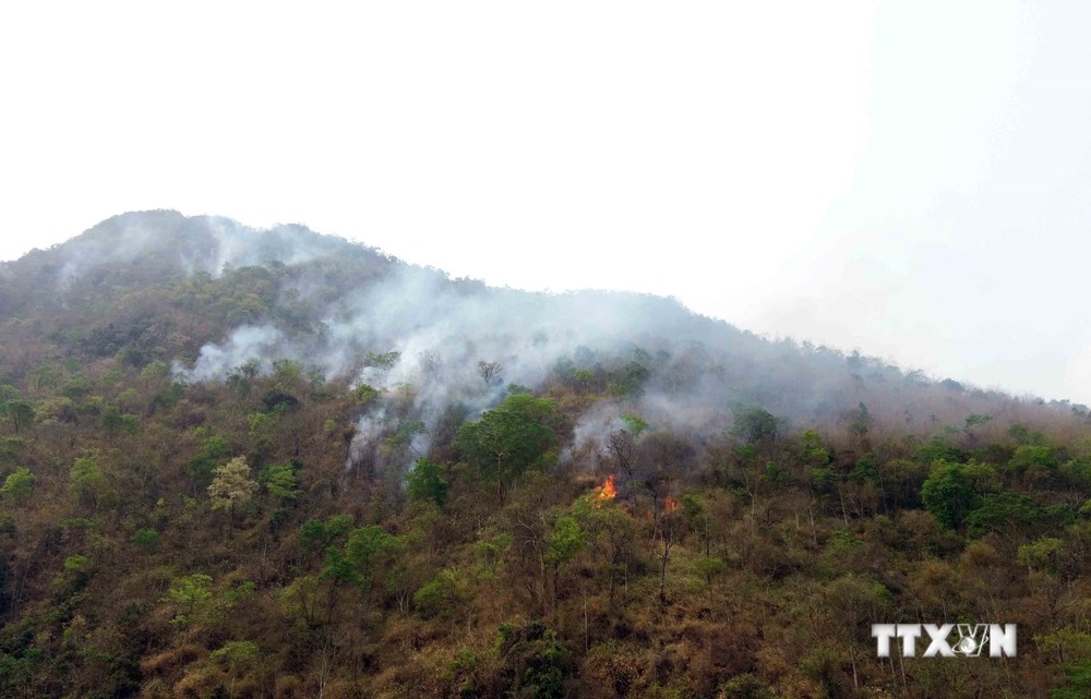 Vụ cháy rừng tại bản Na Pản, xã Chiềng Đông, huyện Yên Châu, tỉnh Sơn La. Ảnh: Quang Quyết -TTXVN