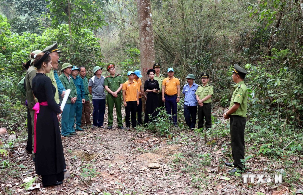 Cán bộ Hạt Kiểm lâm huyện Sơn Dương (Tuyên Quang) tuyên truyền về công tác phòng cháy, chữa cháy rừng. Ảnh: Quang Cường – TTXVN