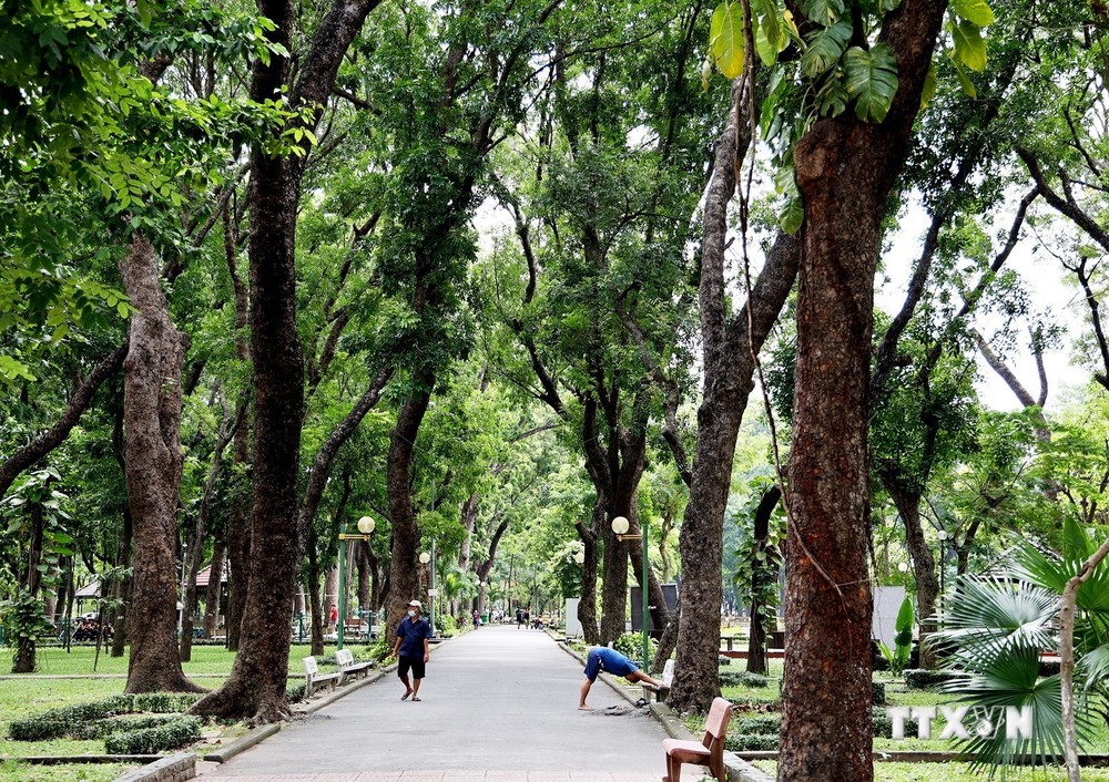 Không gian cây xanh trong công viên Hoàng Văn Thụ, quận Tân Bình (Thành phố Hồ Chí Minh). Ảnh: Hồng Đạt - TTXVN