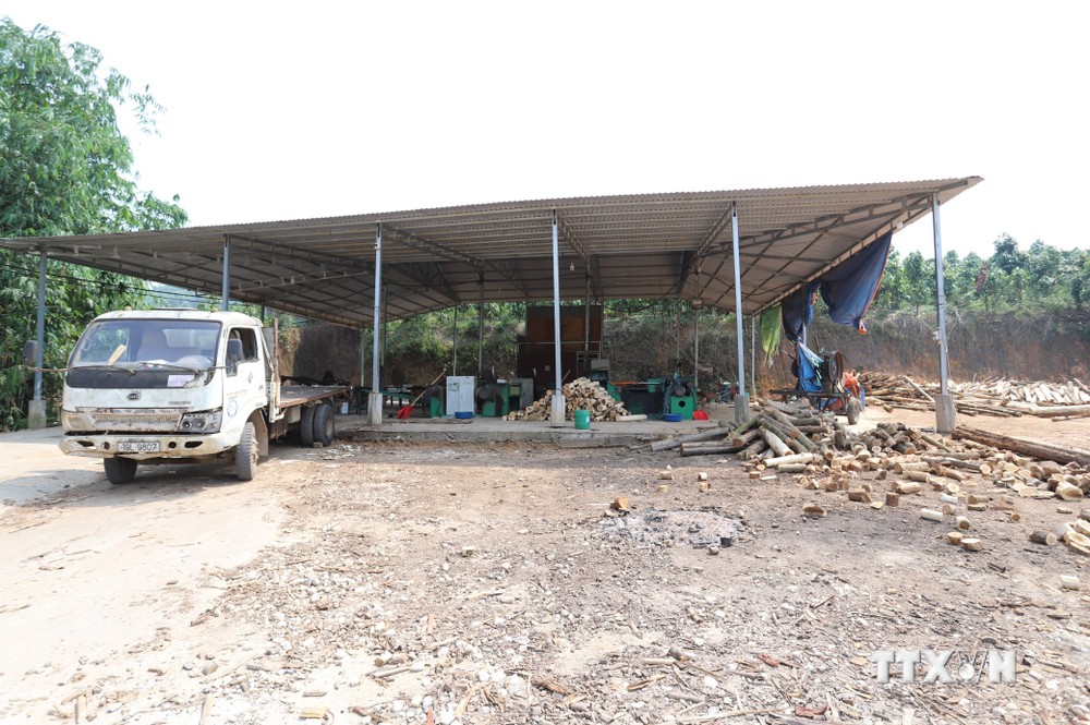 Một số xưởng xẻ ván thanh trên địa bàn huyện Trấn Yên hoạt động cầm chừng, phục vụ thị trường trong nước. Ảnh: Tiến Khánh - TTXVN