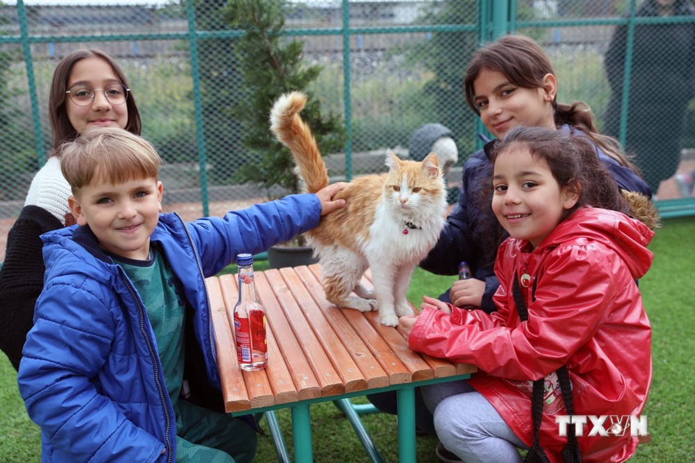 Trẻ em chơi cùng một chú mèo tại "Thị trấn mèo" ở tỉnh Kayseri, Thổ Nhĩ Kỳ ngày 21/7/2023. Ảnh: THX/TTXVN