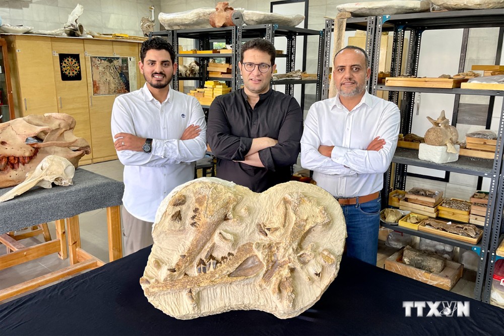 Các nhà khoa học chụp ảnh bên mẫu hóa thạch loài cá voi tuyệt chủng cách đây 41 triệu năm tại Cairo, Ai Cập, ngày 10/8/2023. Ảnh: AFP/TTXVN