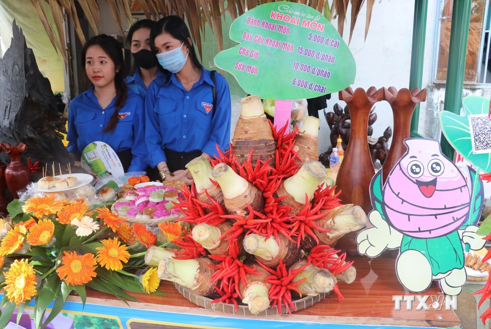 Trưng bày sản phẩm khoai môn tại Ngày hội. Ảnh: Nguyễn Văn Trí - TTXVN
