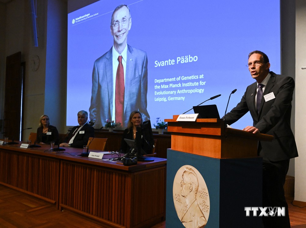 Chân dung nhà khoa học Thụy Điển đoạt giải Nobel Y sinh 2022 Svante Paabo tại Viện Karolinska ở Stockholm (Thụy Điển), ngày 3/10/2022. Ảnh: AFP/TTXVN