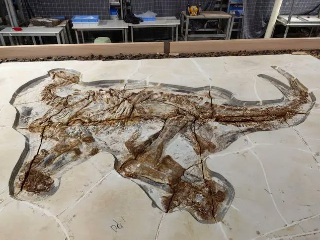 Trung Quốc phục hồi hóa thạch khủng long có niên đại hơn 130 triệu năm