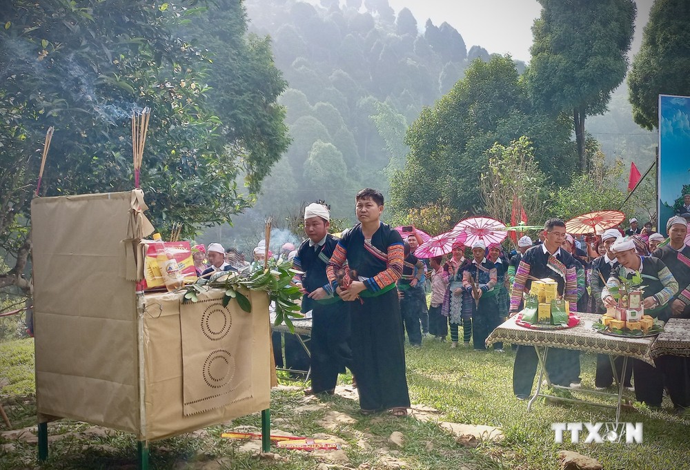 Lễ cúng được thực hiện bên gốc cây chè Tổ ở thôn Pang Cáng. Ảnh: Tuấn Anh - TTXVN
