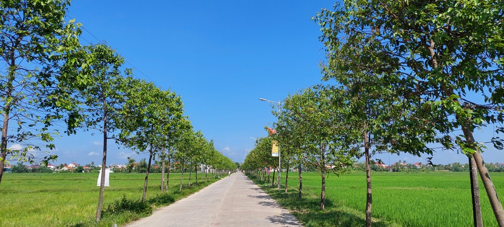 Tuyến đường nông thôn mới xanh sạch đẹp ở xã Diễn Yên, huyện Diễn Châu (Nghệ An). Nguồn ảnh minh họa: dbndnghean.vn