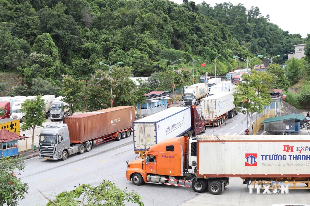 Hoạt động xuất nhập khẩu diễn ra sôi động tại Cửa khẩu quốc tế Hữu Nghị, tỉnh Lạng Sơn. Ảnh: Quang Duy – TTXVN