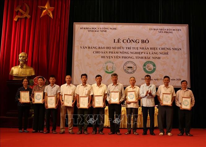Công bố bảo hộ sở hữu trí tuệ cho các sản phẩm nông nghiệp và làng nghề thị xã Từ Sơn