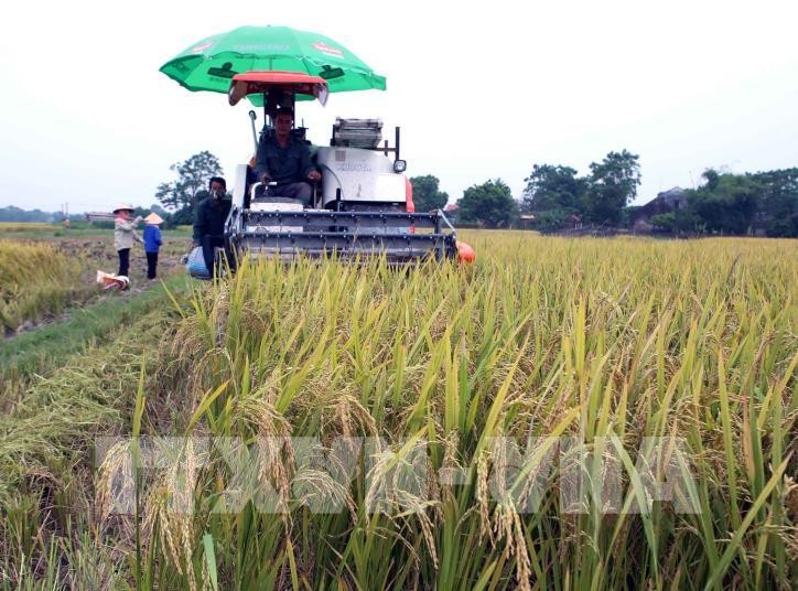 Cơ giới hóa sản xuất nông nghiệp, giảm sức lao động cho nông dân ở xã Tăng tiến, huyện Việt Yên, theo tiêu chí nông thôn mới. Ảnh: Vũ Sinh - TTXVN