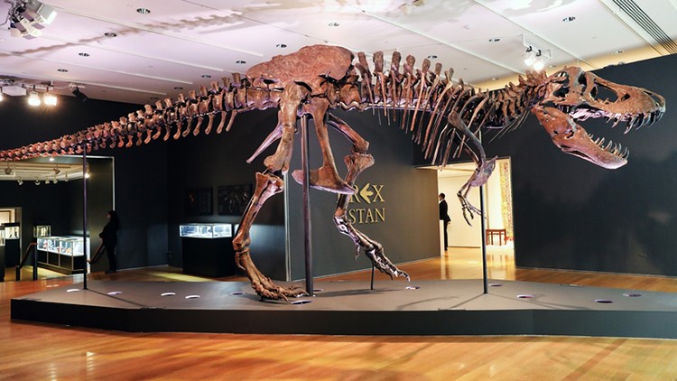 Bộ xương khủng long hoàn chỉnh nhất thế giới được bán với giá cao kỷ lục​
