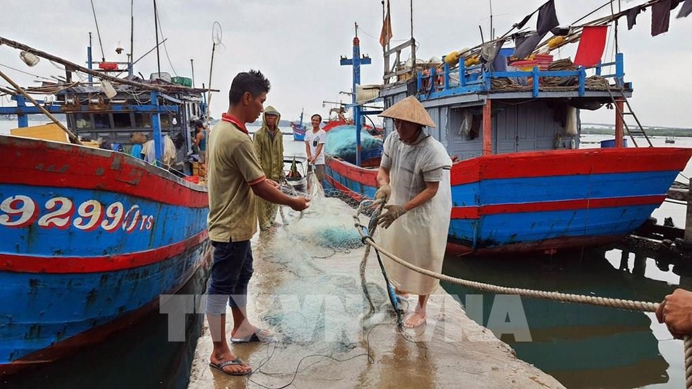 Ngư dân Quảng Nam gặp nhiều khó khăn do khó mua được bảo hiểm cho tàu cá. Ảnh: Trần Tĩnh -TTXVN