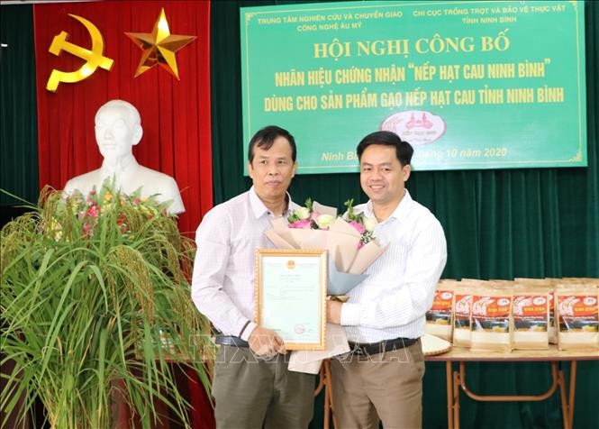 Trao Giấy chứng nhận đăng ký nhãn hiệu "Nếp hạt cau Ninh Bình"