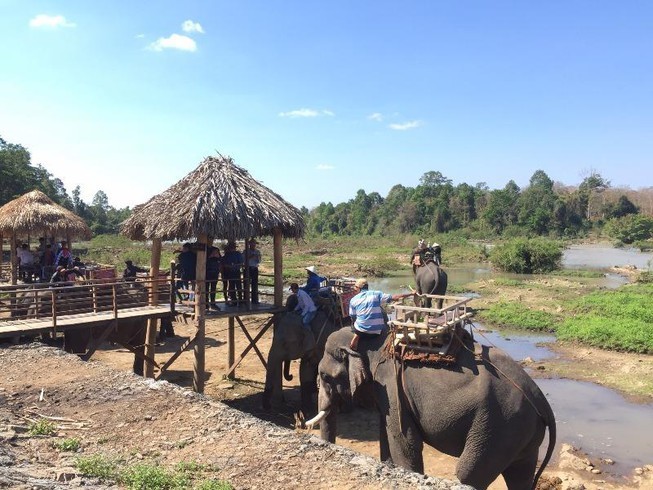 Đắk Lắk dần chuyển đổi sang du lịch thân thiện với voi