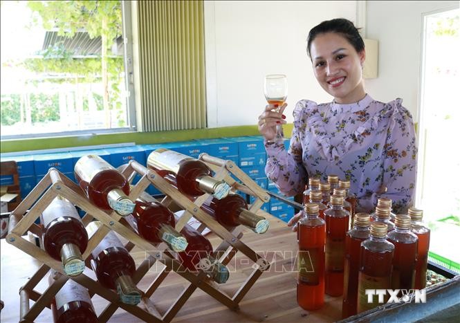Khách du lịch thưởng thức vang nho sản xuất tại trang trại nho Ba Mọi, xã Phước Thuận, huyện Ninh Phước. Ảnh: Nguyễn Thành - TTXVN
