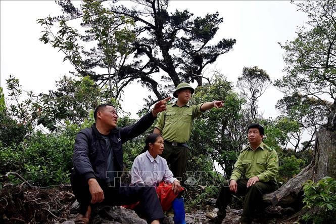 Người Mông ở Hòa Bình giữ rừng nguyên sinh để phát triển du lịch bền vững