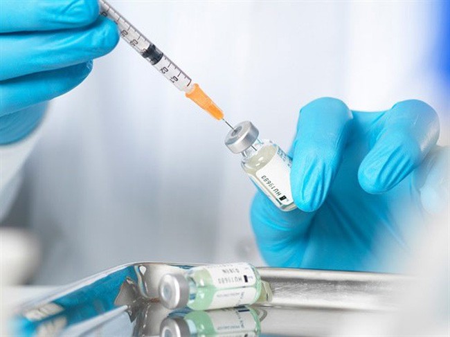ILRI bắt đầu thử nghiệm vaccine ngừa dịch tả lợn châu Phi